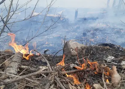 Глава Минусинского района заявил о введении режима ЧС в лесах