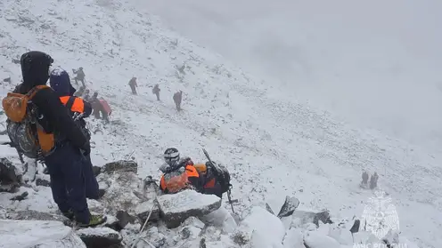 Спасатели эвакуировали выжившую туристку с Вилючинского вулкана, двое альпинистов погибли