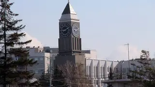 Названы самые медийные мэры сибирских столиц — лидеры из Новосибирска, Омска и Красноярска