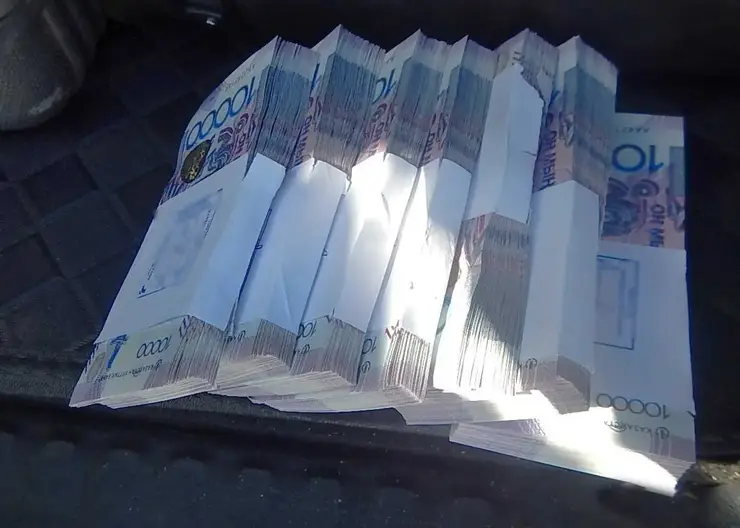 На Алтае иностранец хотел вывезти 7 млн тенге в Монголию