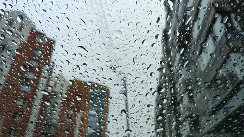 В Красноярске дождик задержится еще на сутки