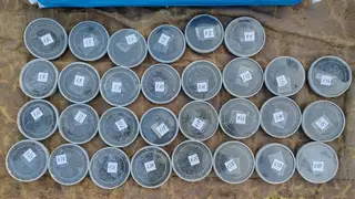 В Хабаровске предстанут перед судом участники ОПГ, обвиняемые в незаконном обороте более 3 тонн черной икры