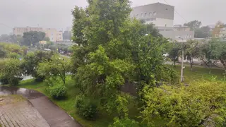 Шквалистый ветер и сильный ливень будут бушевать в Красноярске 19 августа Шквалистый ветер и сильный ливень будут бушевать в Красноярске 19 августа