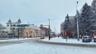 Климатолог заявил, что аномальные зимы станут частым явлением в Красноярске