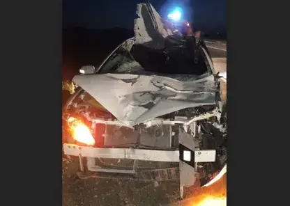 В Бурятии Toyota Allion превратилась в груду металла после столкновения с лошадью