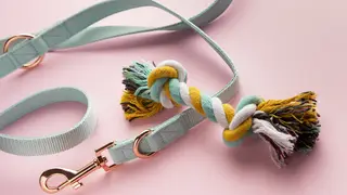 Прогулки с призраками: ученые выяснили, чем опасен хоббидоггинг