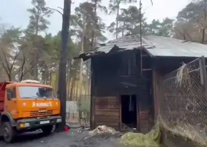 В прокуратуре назвали предварительную причину пожара в зоопарке Новосибирска