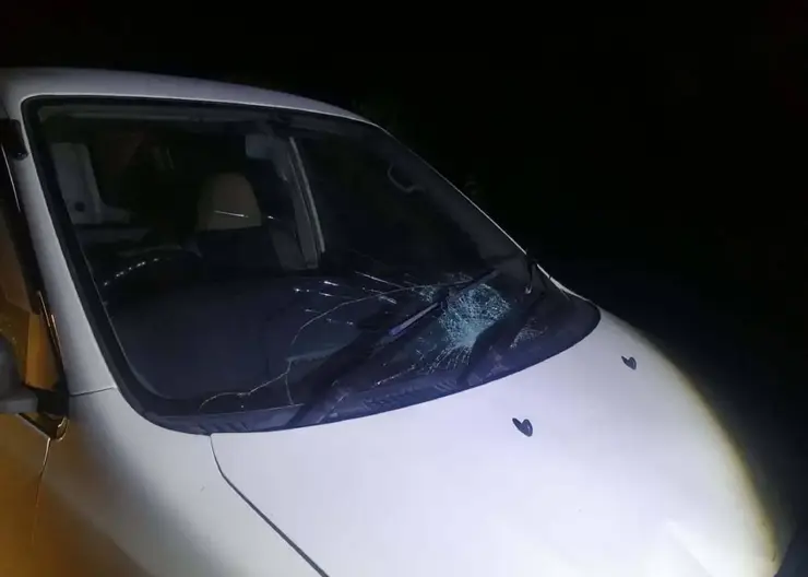 Спрятал машину на даче: в Иркутской области мужчина насмерть сбил пешехода и скрылся