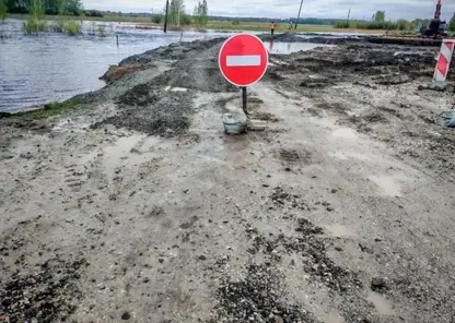 Паводок полностью изолировал село в Новосибирской области