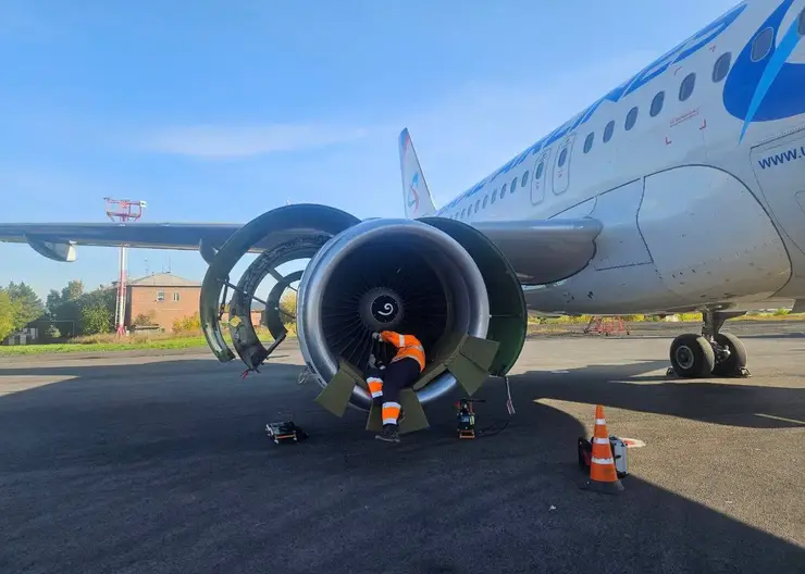 Самолет «Уральских авиалиний» вернулся в иркутский аэропорт из-за попадания птицы в двигатель