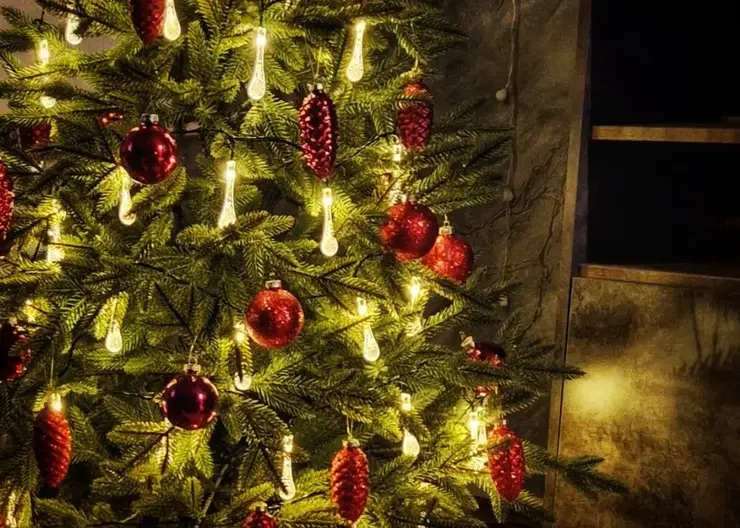 Красноярцам рассказали, как встретить Новый год-2026 с максимальной удачей