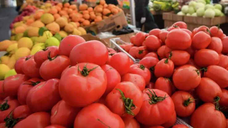 Как правильно выбирать томаты при покупке рассказали жителям Красноярского края