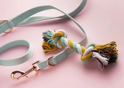 Прогулки с призраками: ученые выяснили, чем опасен хоббидоггинг