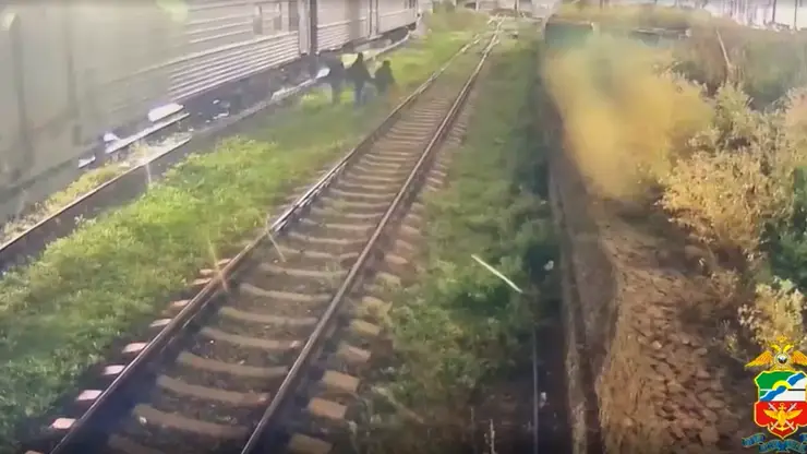 Приезжие из Москвы и регионов разрисовали электрички в Новосибирской области