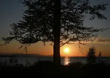 Закон о сплошных рубках на Байкале вступил в силу