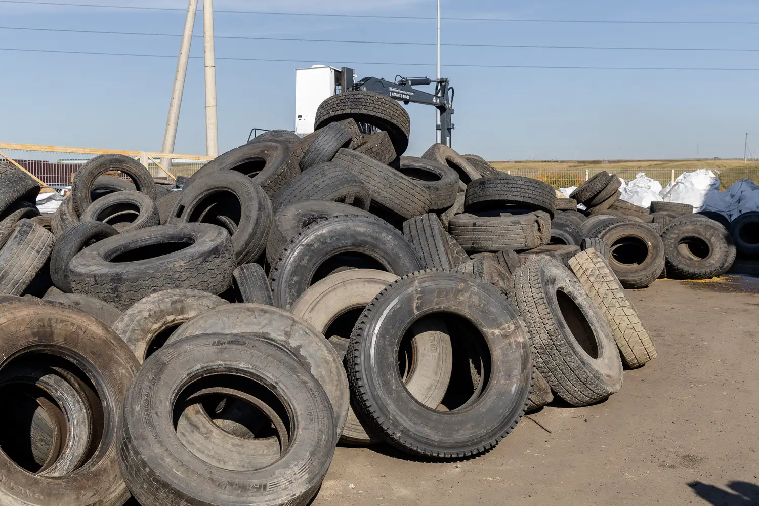 Фото: Корнеев К.