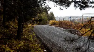 Дачную дорогу отремонтировали в Сосновоборском округе
