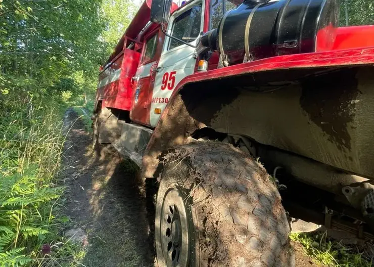В Красноярском крае за сутки сгорели два садовых домика