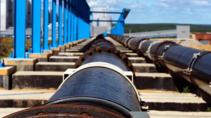 В Красноярске в Плодово-ягодную станцию проведут сети водоснабжения