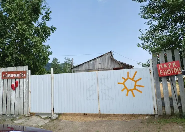 «Дом енотов» в Красноярском крае оштрафован за плохое обращение с животными