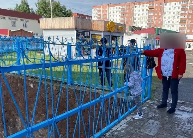 В Красноярском крае спасатели вытащили из забора застрявшую голову мальчика