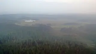 Въезд в леса перекроют в Иркутской области по распоряжению губернатора из-за пожарной опасности