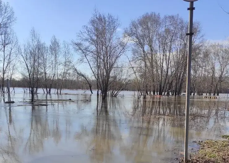 Река Томь в Новокузнецке достигла опасного уровня