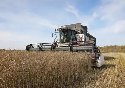 В Красноярском крае стартовала уборочная кампания