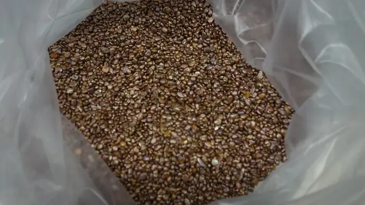 Красноярец продал три килограмма незаконного золота на 12 миллионов рублей