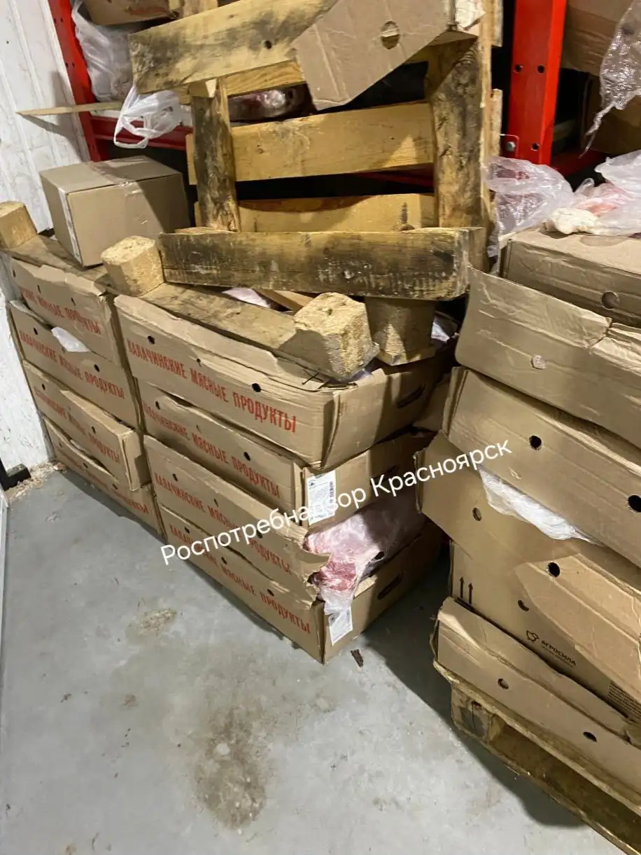 Фото: Telegram-канал «Роспотребнадзор Красноярск»