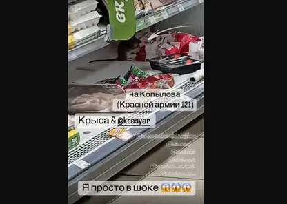 Огромную крысу заметили красноярцы в одном из супермаркетов