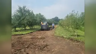 Аллею памяти начали обновлять в красноярском Татышев‑парке Аллею памяти начали обновлять в красноярском Татышев‑парке
