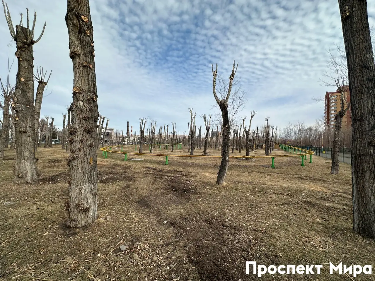 Фото: Проспект Мира