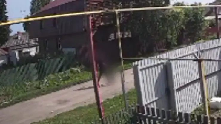 Мужчина сбросил бездомную собаку с моста на железнодорожные пути в Новосибирской области