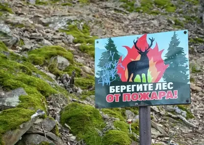 Противопожарная информационная компания «Останови огонь!» пройдет в российских регионах