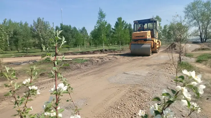 В Красноярске в следующем году благоустроят 8 скверов