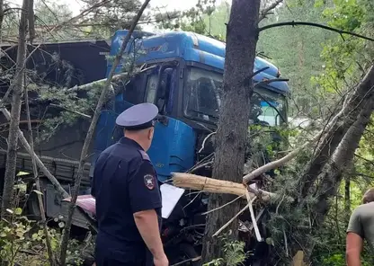 Четверо погибли в ДТП в Красноярском крае, трое из них — подростки