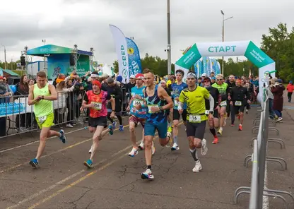 Больше 35 тысяч человек стали участниками Зелёного Марафона в городах Сибири