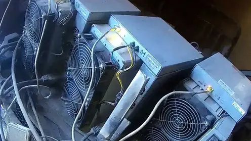 Криптофермы похитили электроэнергию у новосибирских сетей на 28 миллионов рублей