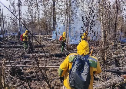 Площадь лесных пожаров в Красноярском крае выросла на 5 тысяч гектаров