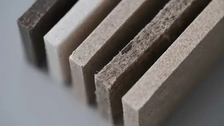 Красноярские ученые создали экологичные композиты из биоразлагаемого полимера и растительных отходов