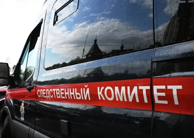 Педагогов спецшколы в Красноярске подозревают в издевательствах над ребёнком