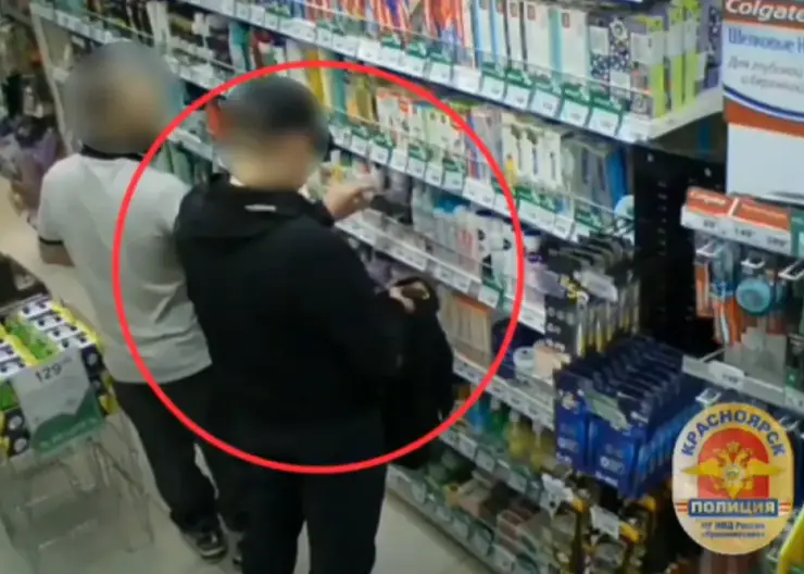 В Красноярске серийного магазинного вора на один год отправили в колонию строгого режима