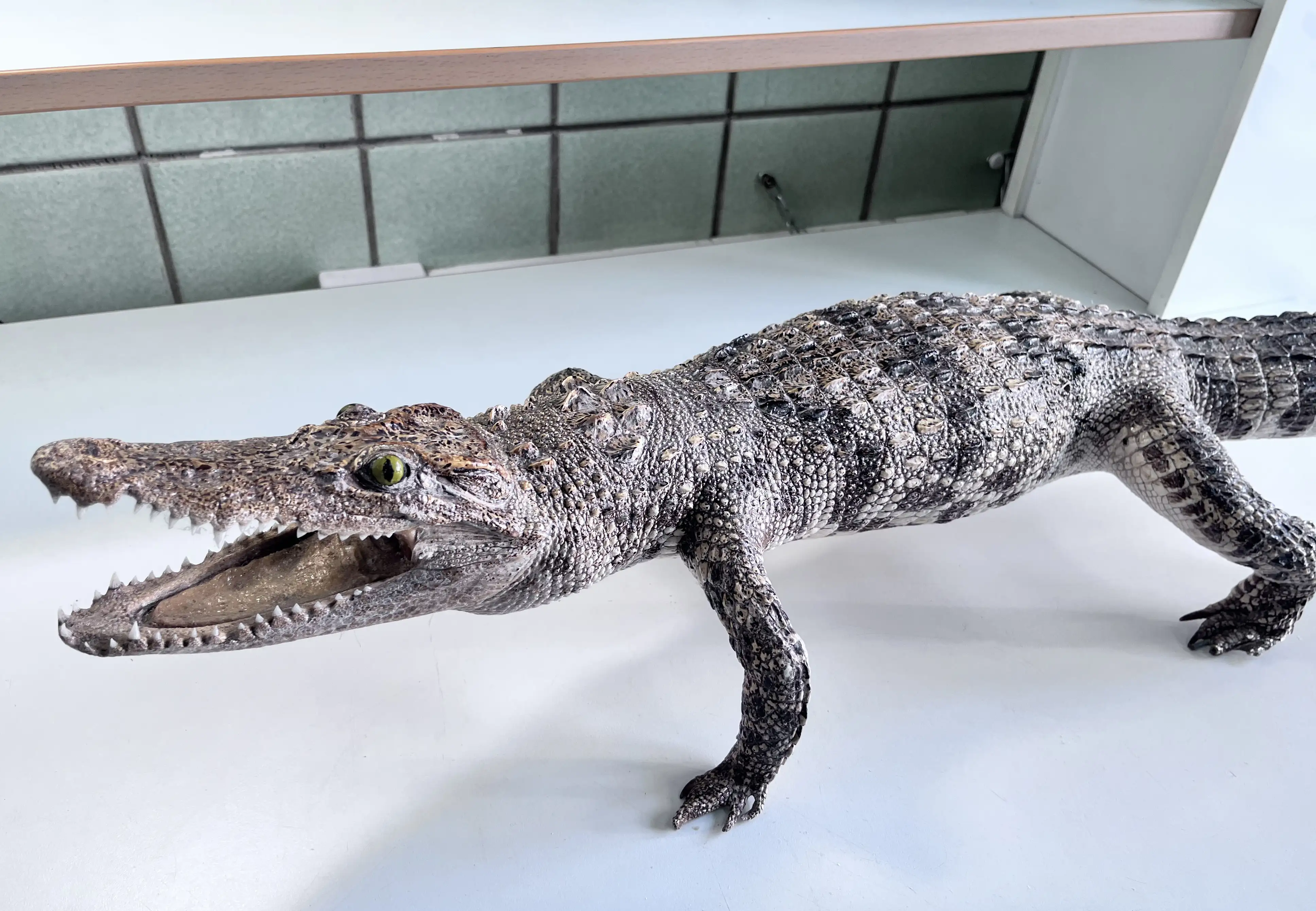 Фото: Красноярская таможня