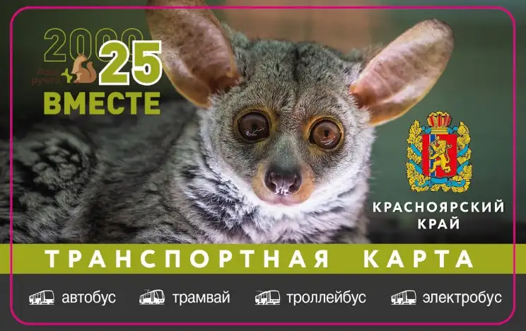 Фото: парк «Роев ручей» Красноярск