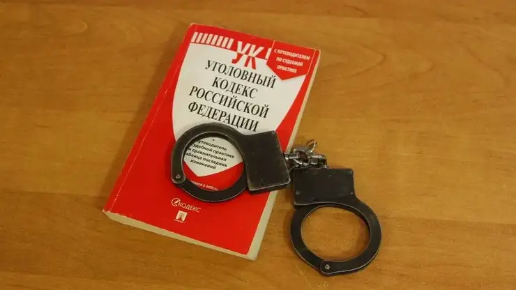 Приставы отправили злостного неплательщика в ИВС в Железногорске