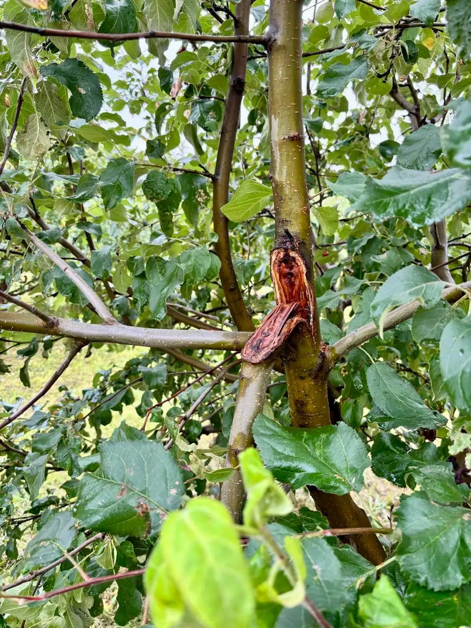 Фото: Татышев-парк