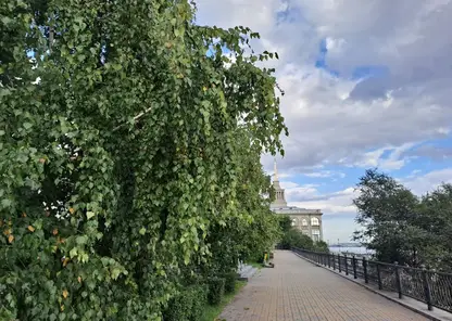 Похолодание и дождь ждут красноярцев в предстоящие выходные