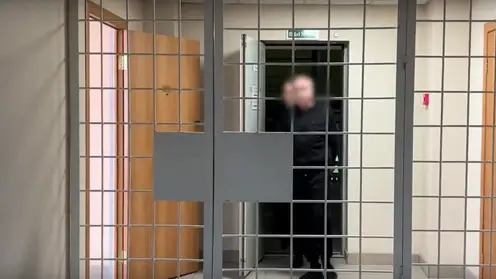 Интерпол помог вернуть в Иркутск водителя скрывавшегося за границей