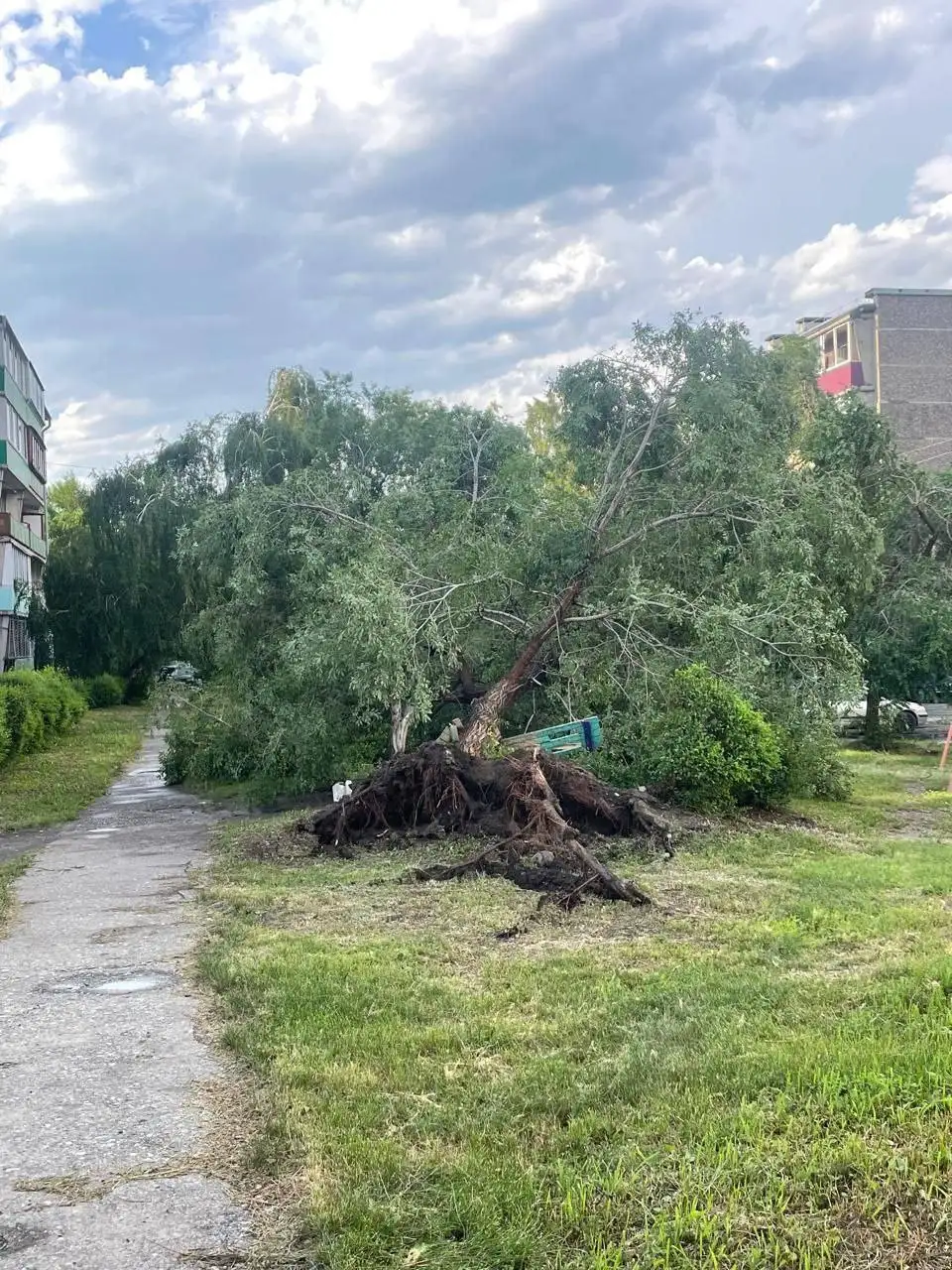 Фото: Telegram-канал «Саяногорск Главный»